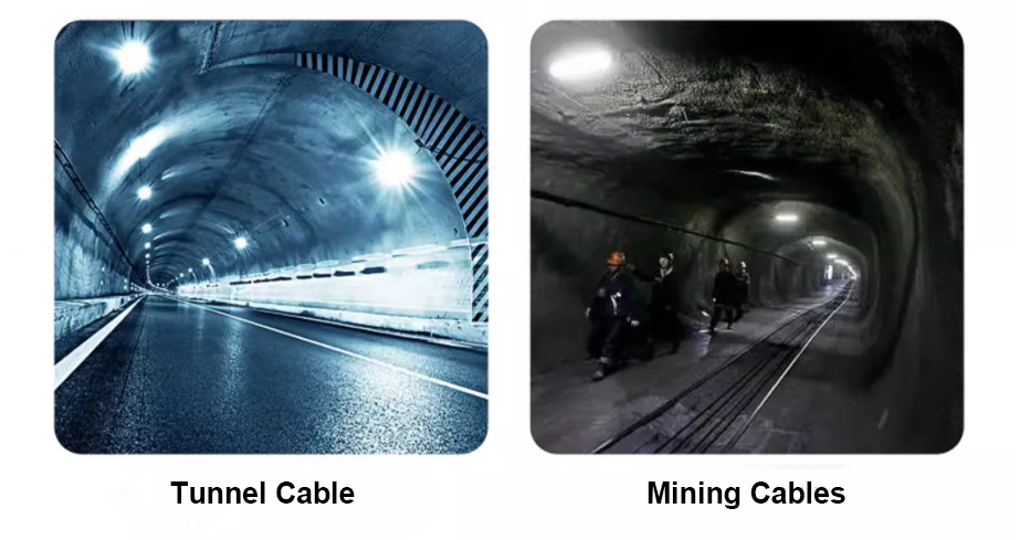 微信图片_20250917103140_226_6