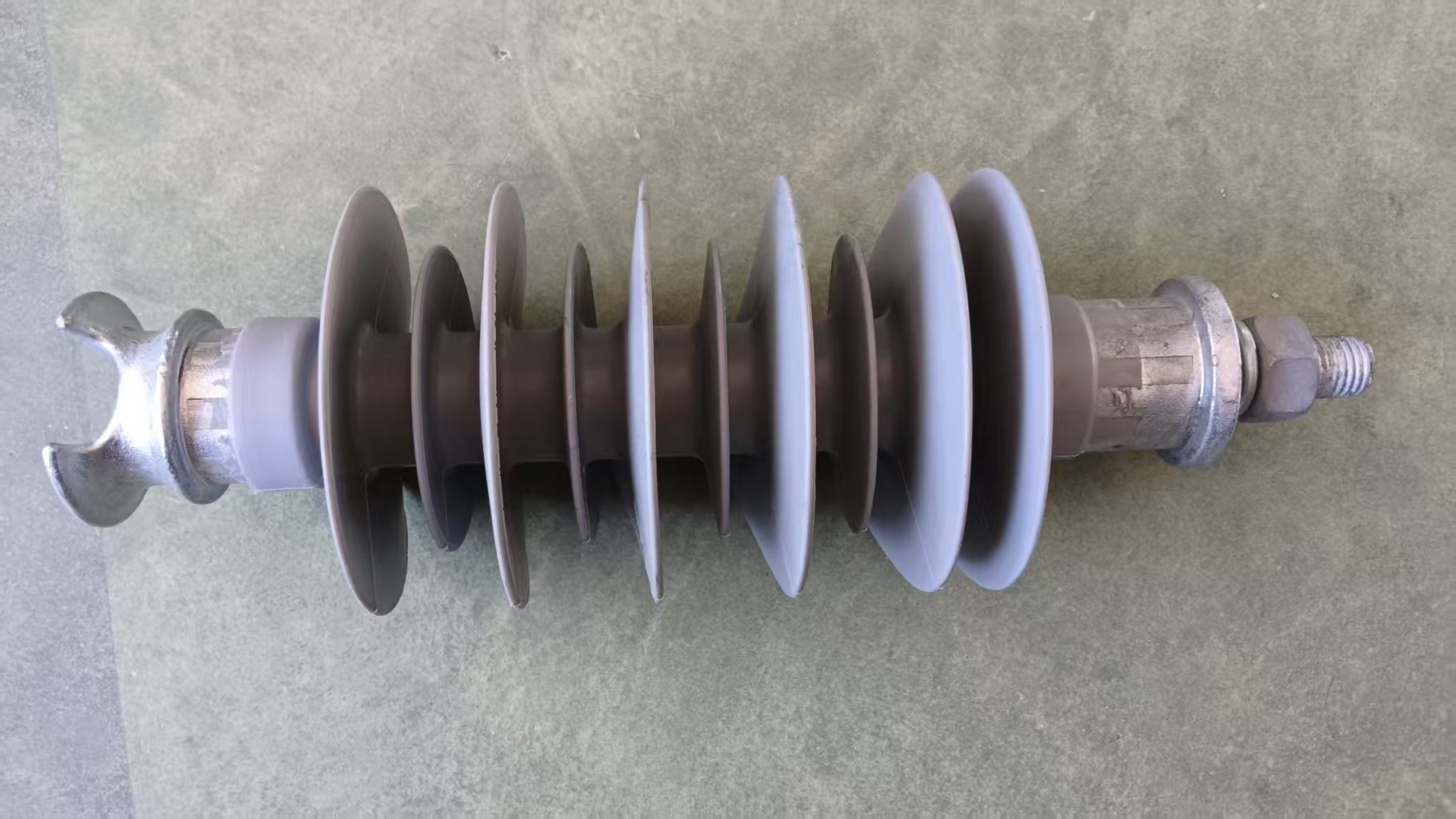 微信图片_20251011102706_329_6