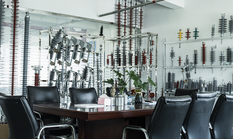 Professional Manufacturing Expertise